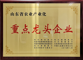 星空平台皇家马略卡赞助商实力